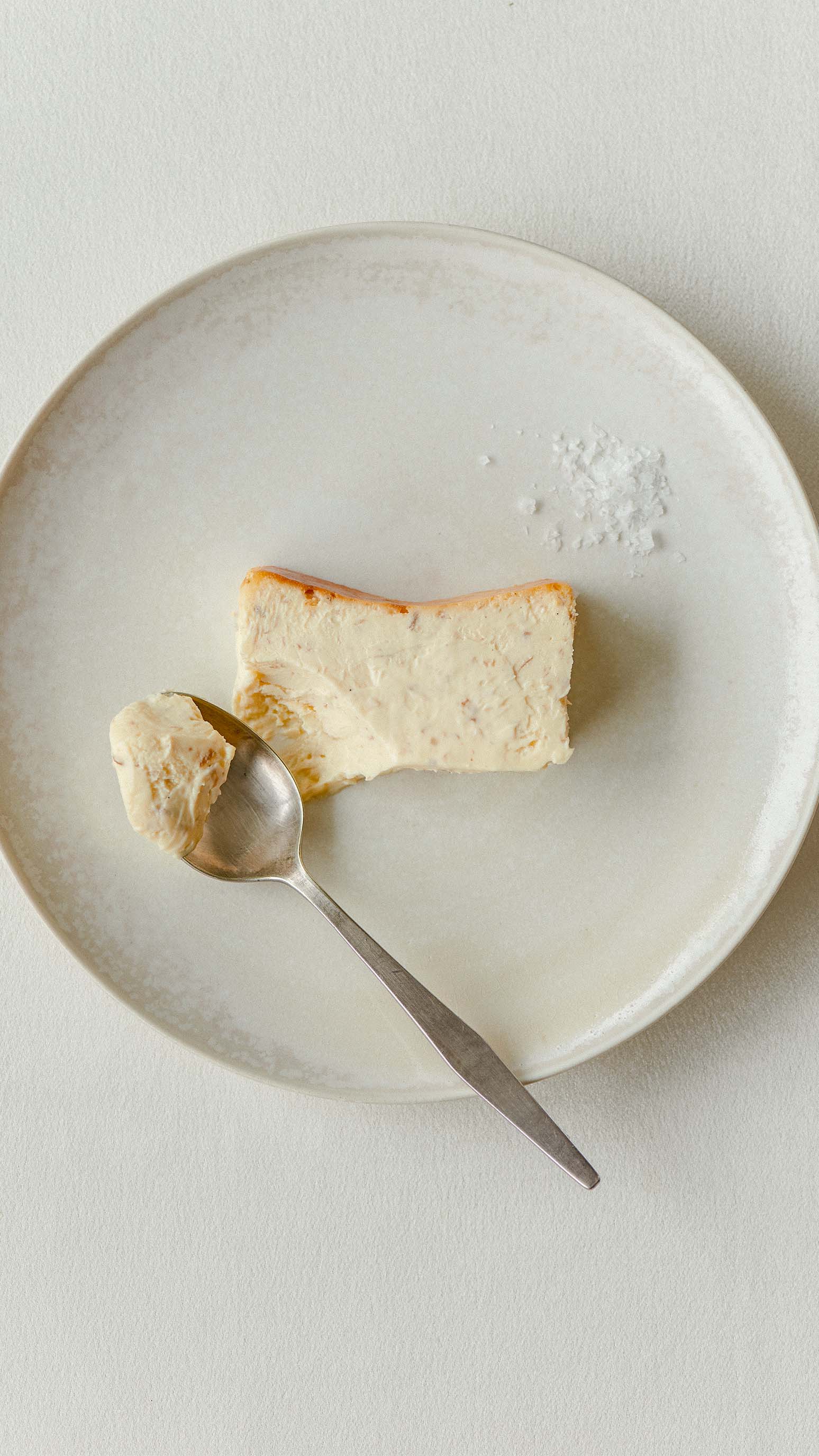 Mr. CHEESECAKE white truffle