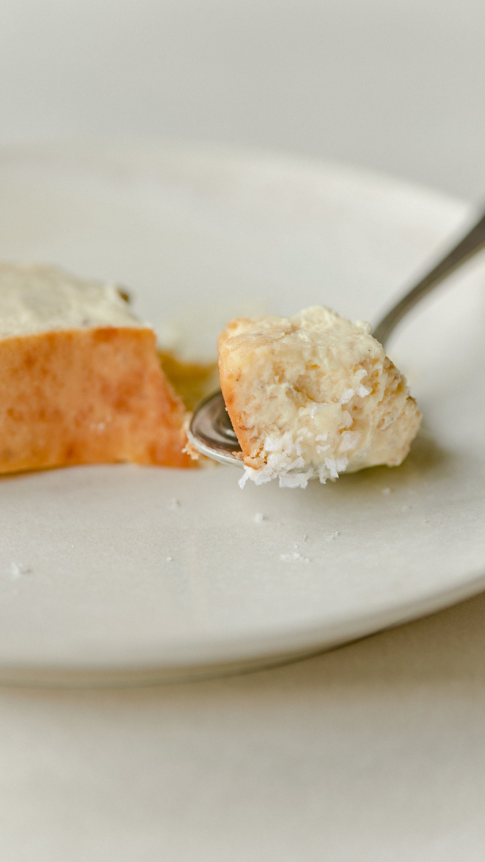 Mr. CHEESECAKE white truffle