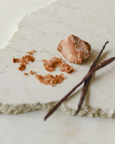 Mr. CHEESECAKE white truffle