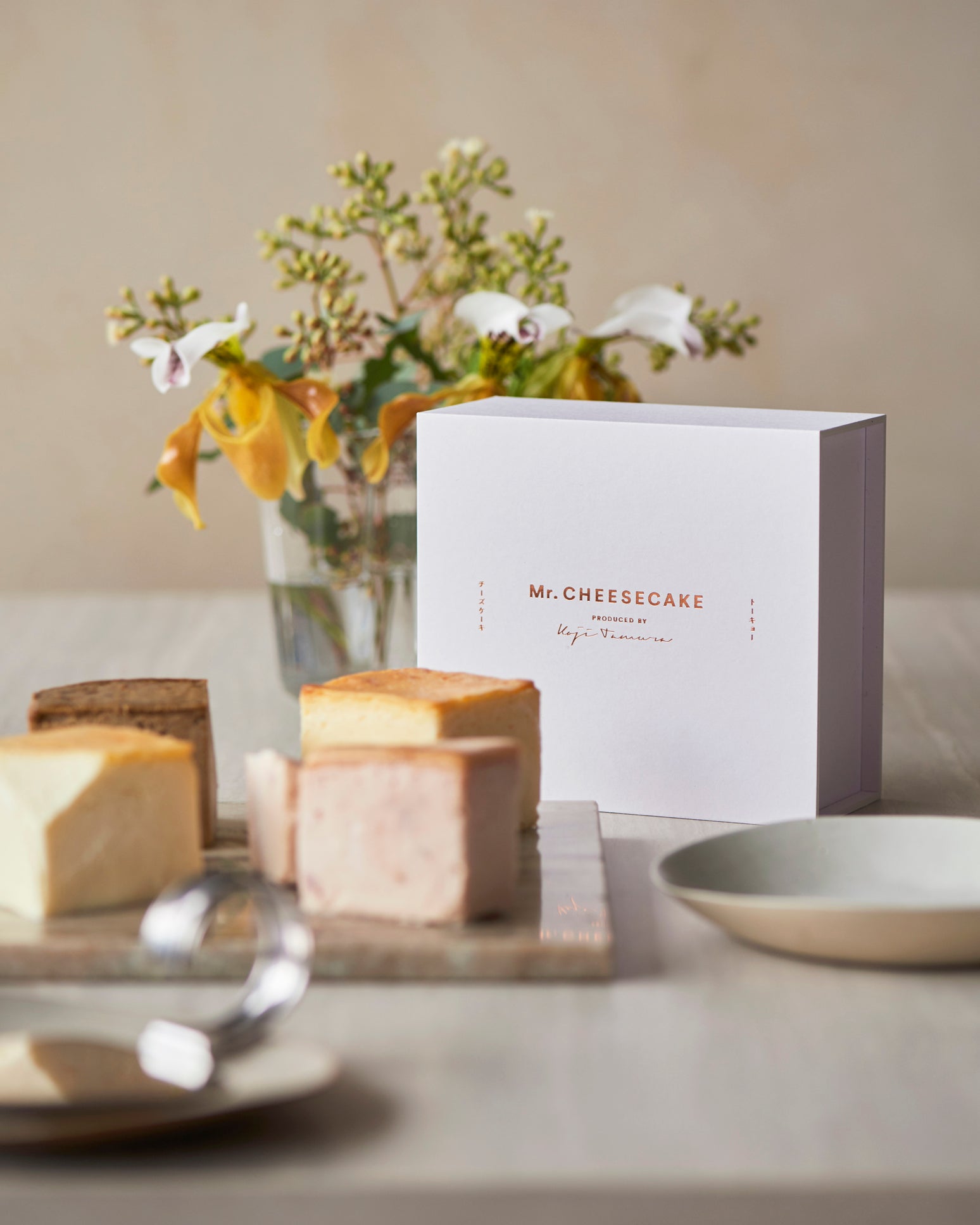 Mr. CHEESECAKE Spring Edition