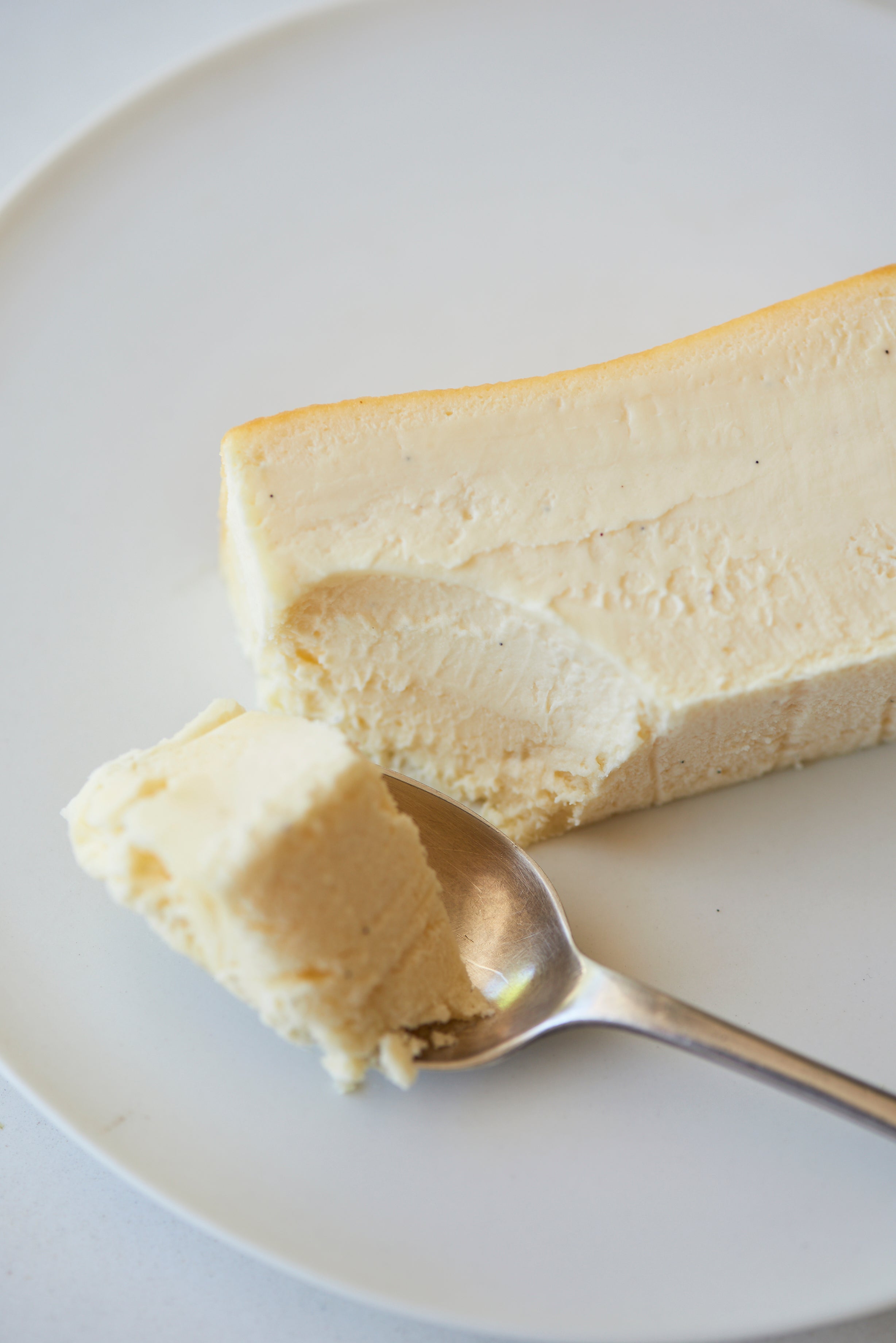 square roll cake & Classic / Bag