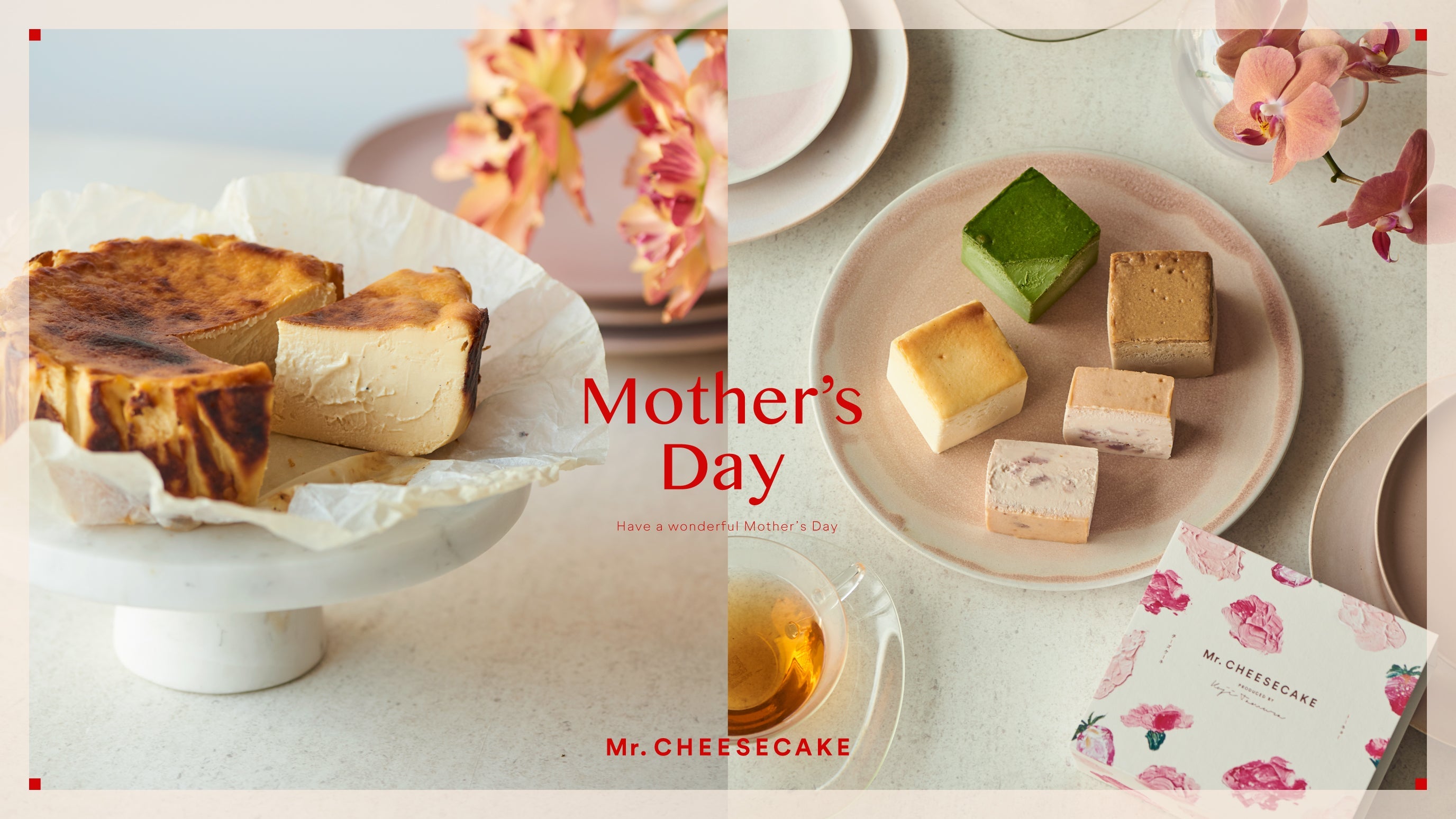 Mr. CHEESECAKE assorted 4-Cube Bloom