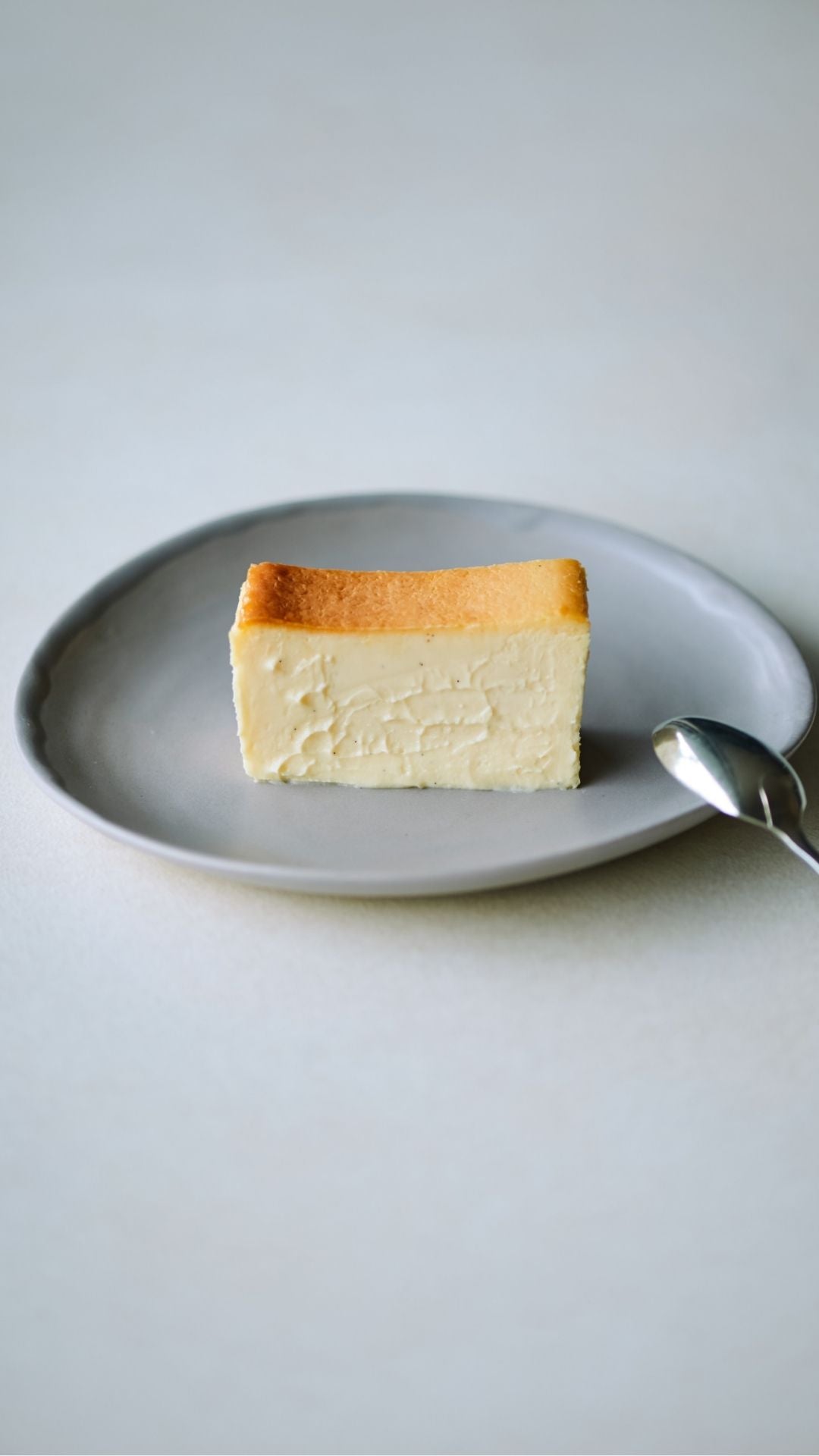 square roll cake & Classic / Bag