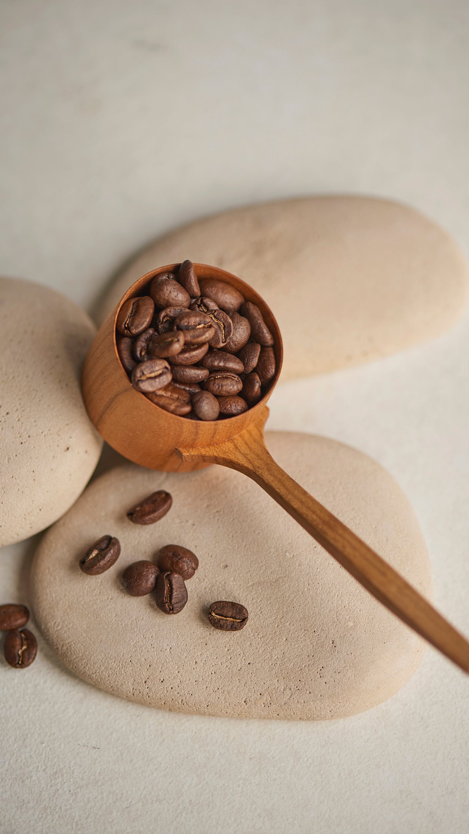 Mr. CHEESECAKE Cream Brew Coffee