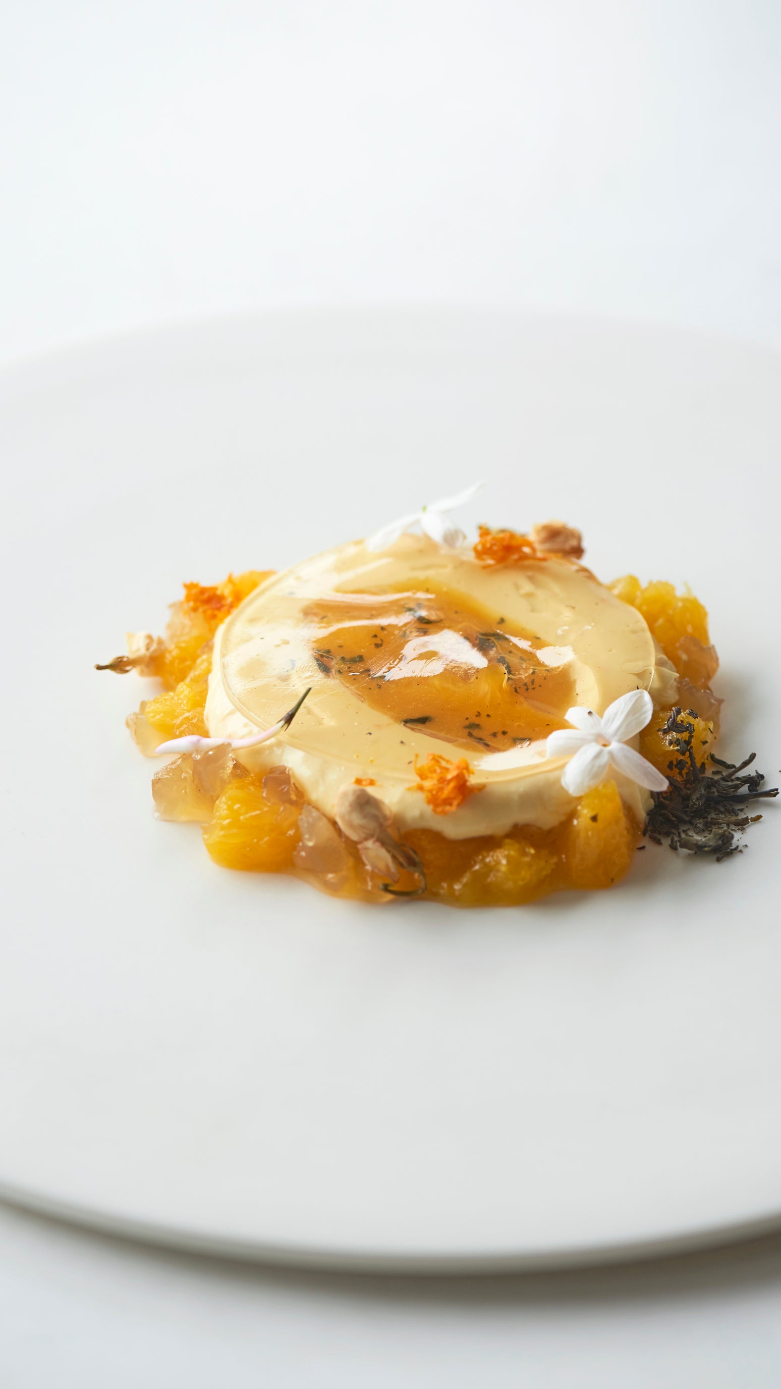 Mr. CHEESECAKE Orange Jasmine