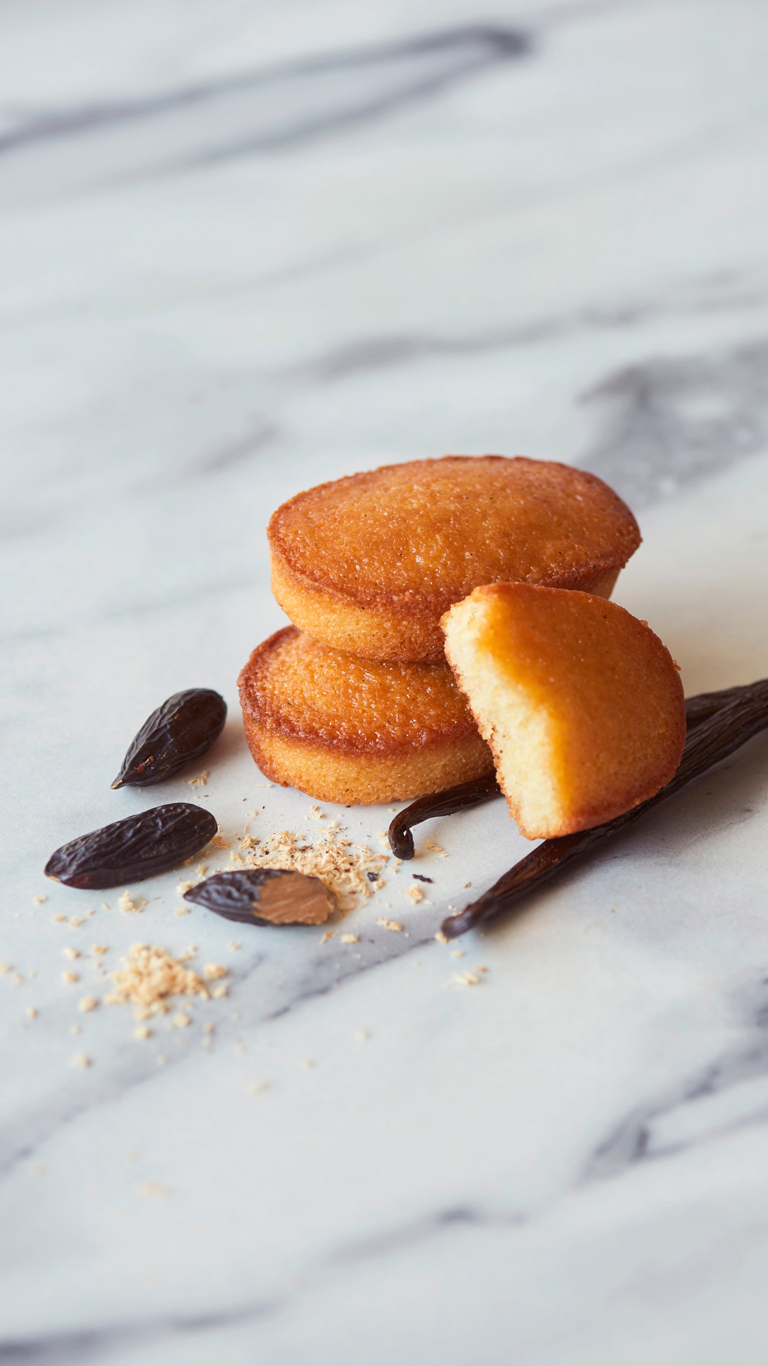 FINANCIER Vanilla Tonka（10個入り）