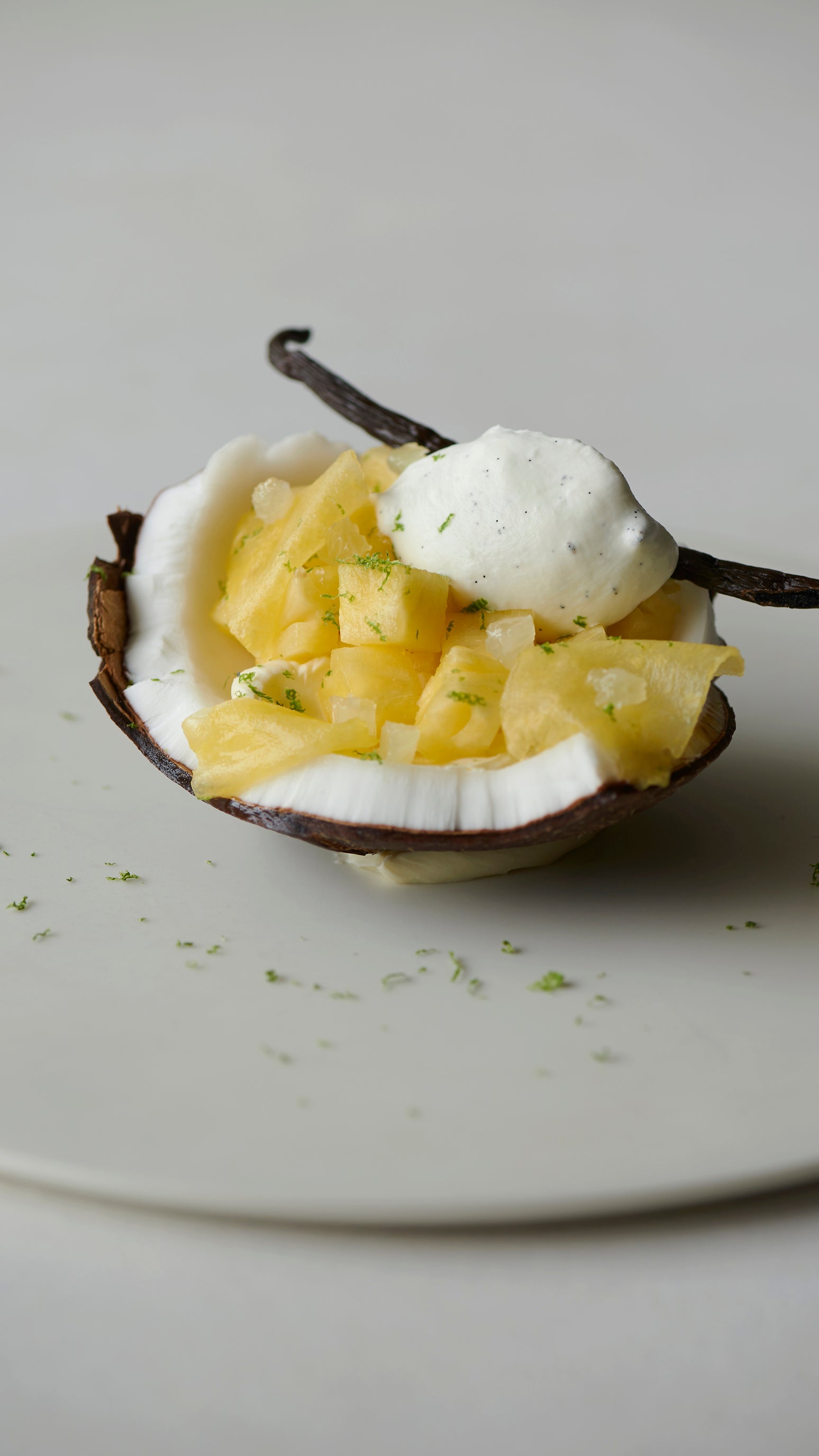 Mr. CHEESECAKE Pineapple Coco