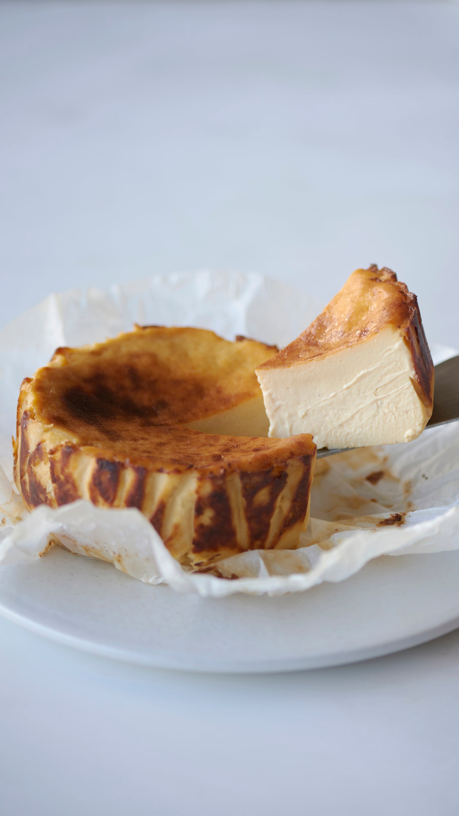 square roll cake & BASQUE CHEESECAKE