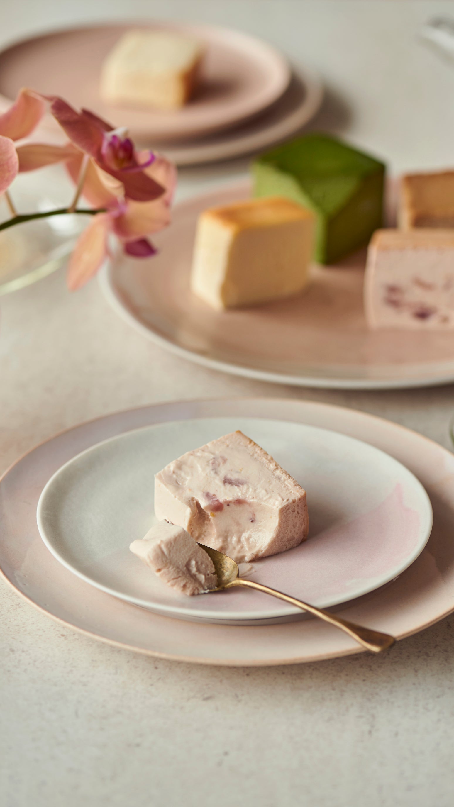 Mr. CHEESECAKE assorted 4-Cube Bloom