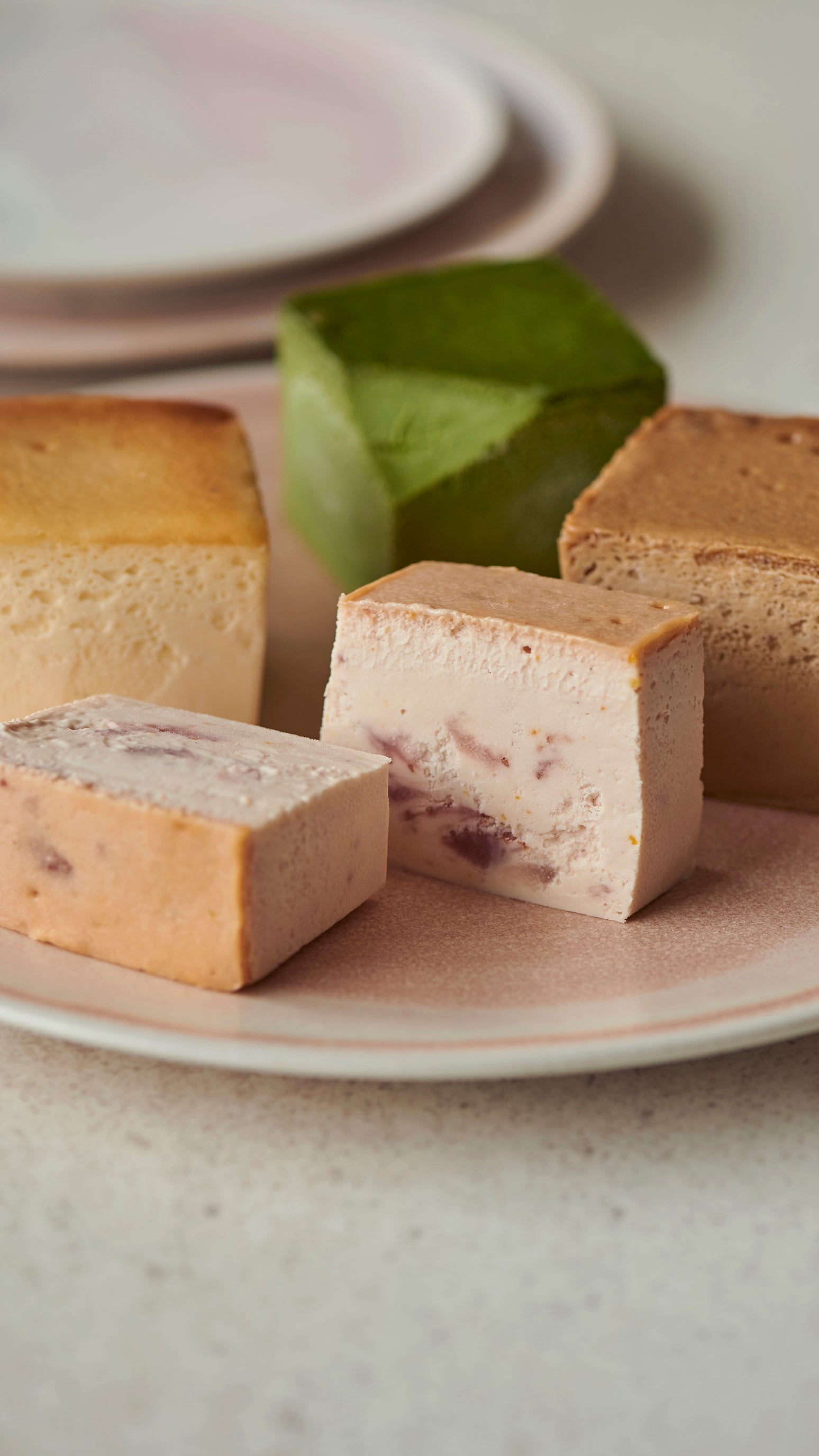 Mr. CHEESECAKE assorted 4-Cube Bloom