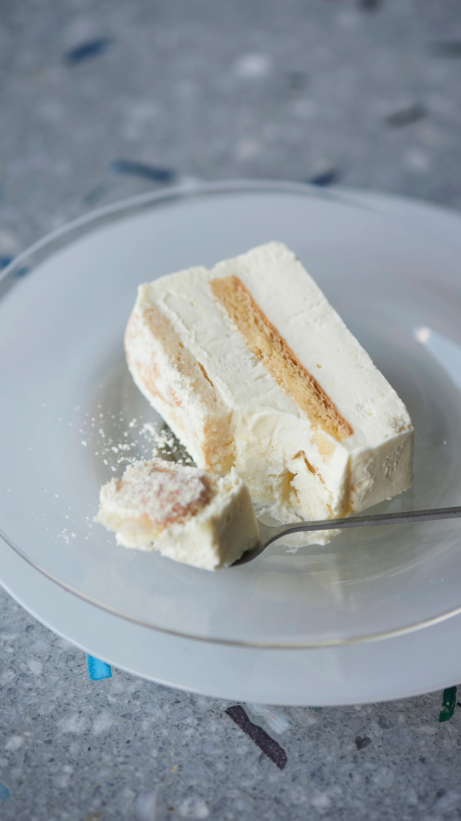 RICH TIRAMISU Salty Lemon