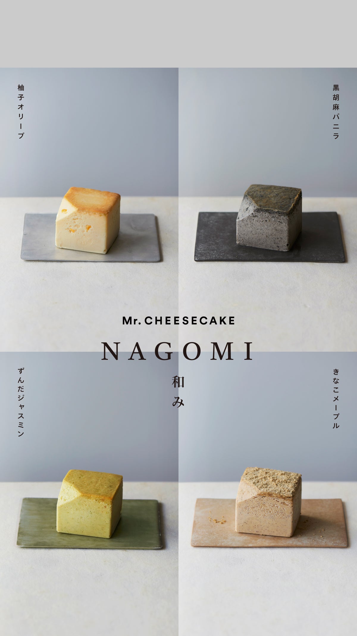 Mr. CHEESECAKE | ミスターチーズケーキ