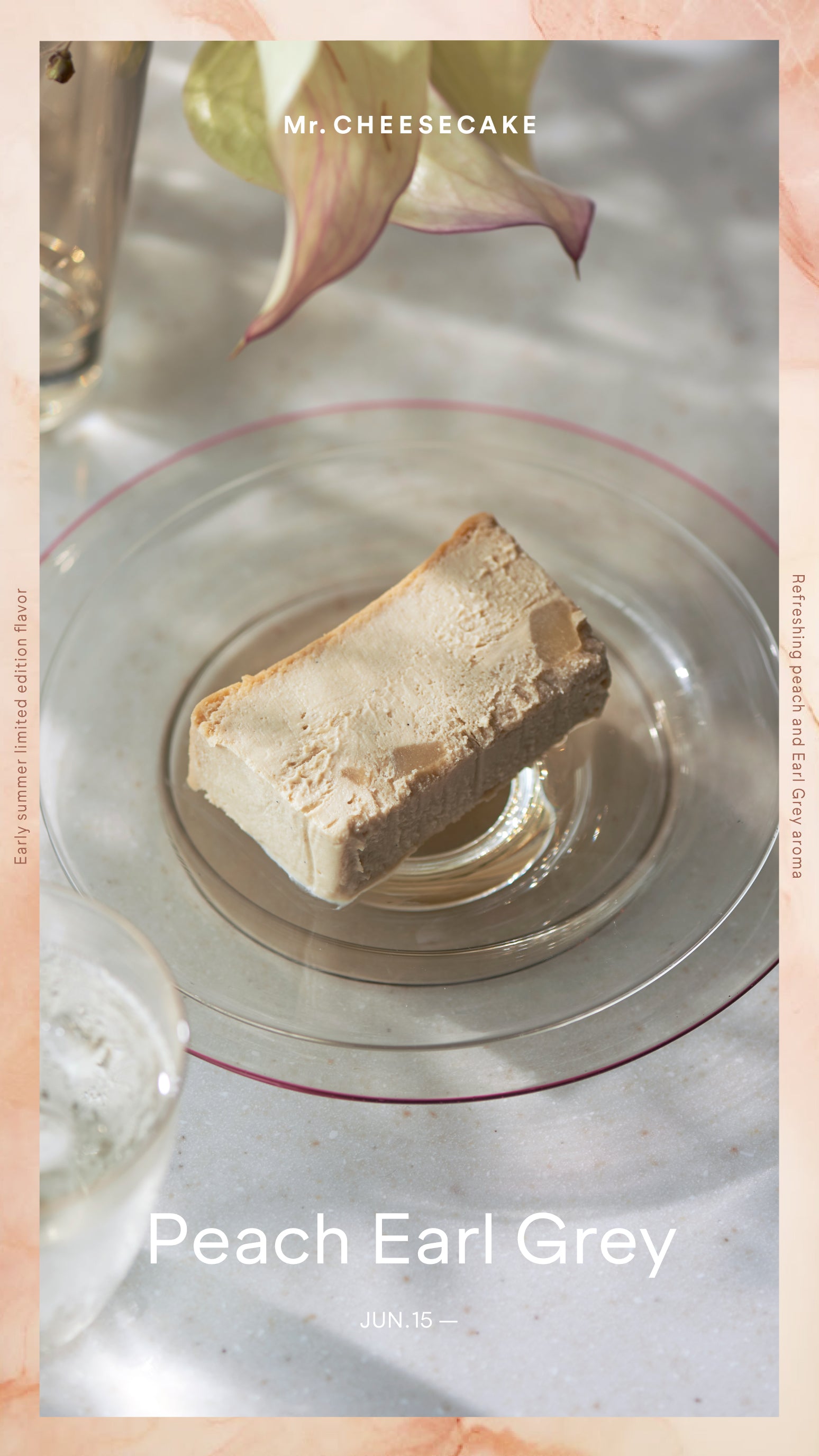 ミスチーページ Mr. CHEESECAKE Caramel Earl Grey / Box