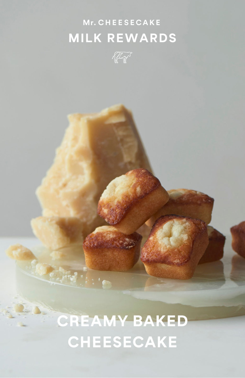 グランスタ東京店限定  CREAMY BAKED CHEESECAKE 10% OFF eチケットプレゼント