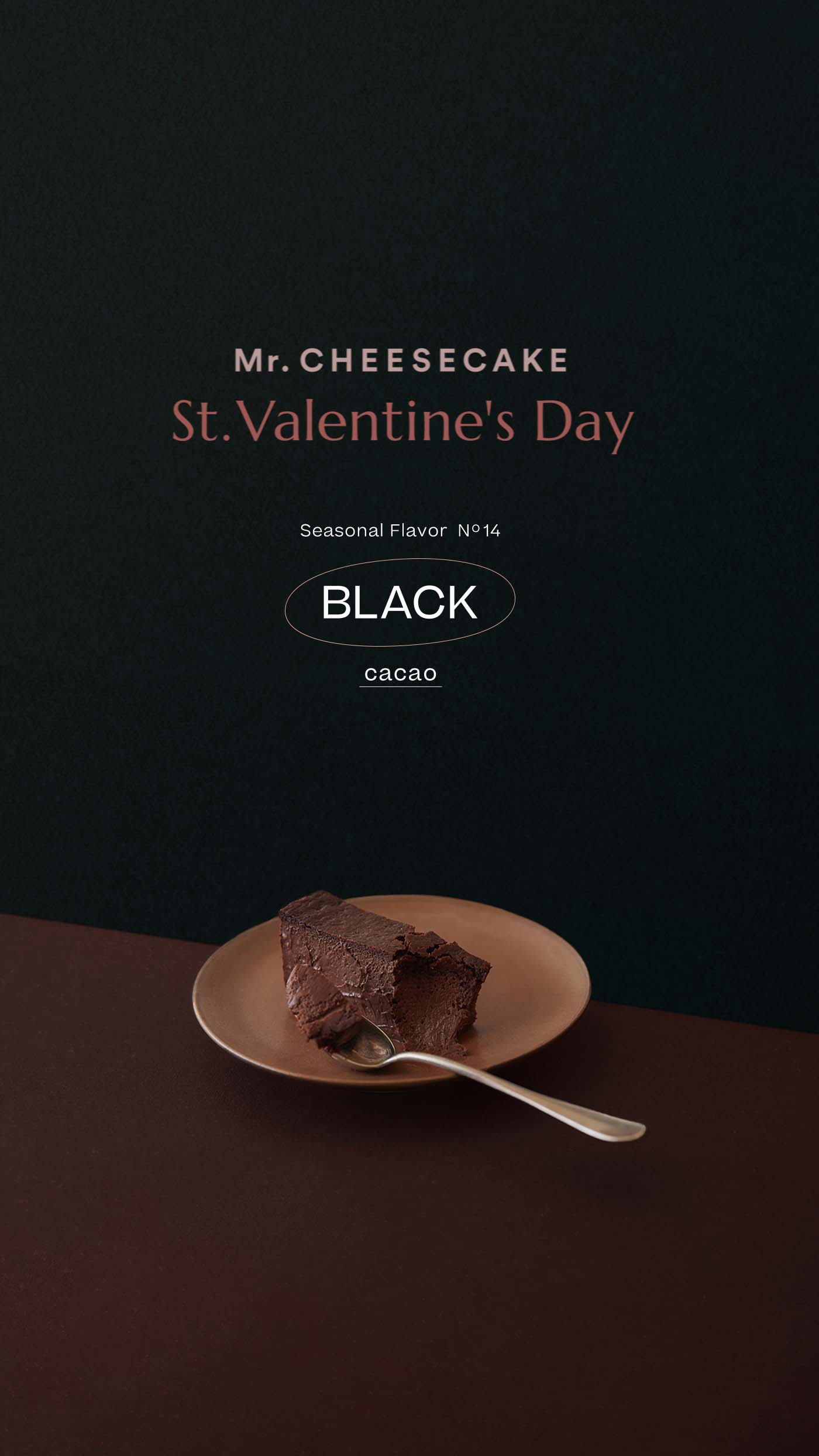 Mr. CHEESECAKE BLACK cacao