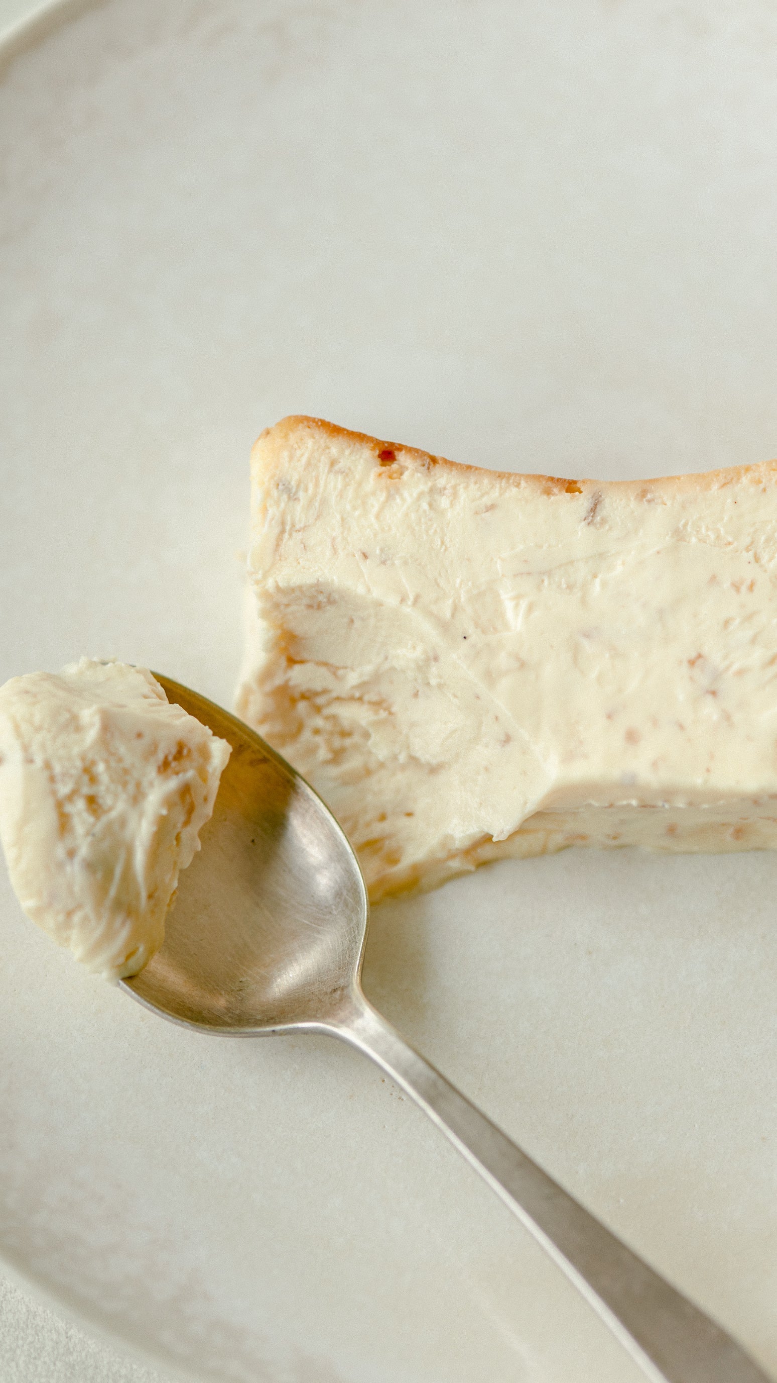 Mr. CHEESECAKE white truffle