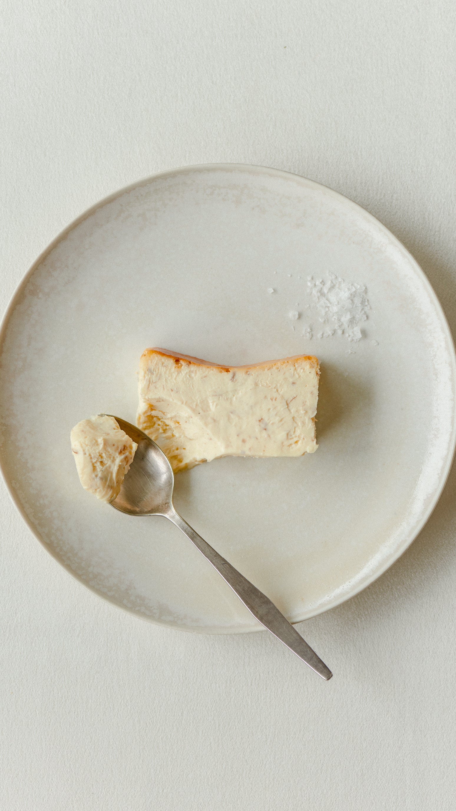 Mr. CHEESECAKE white truffle