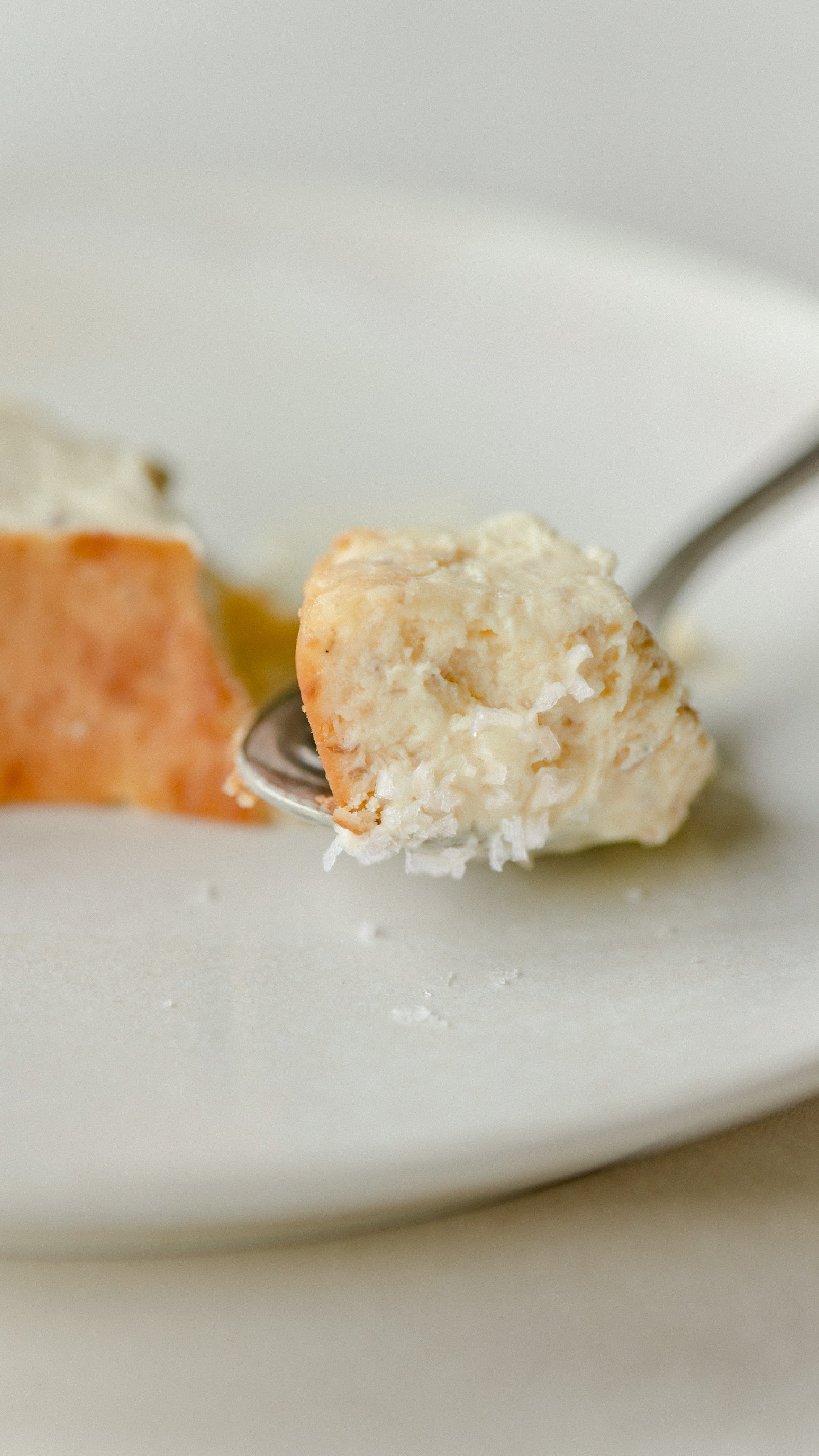 Mr. CHEESECAKE white truffle