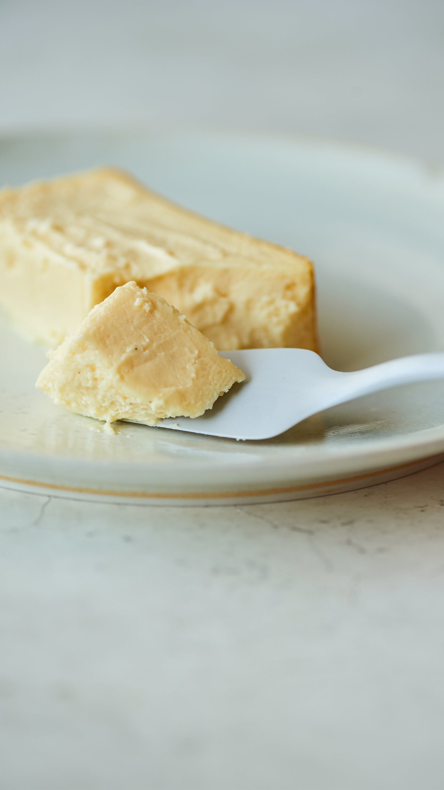 Mr. CHEESECAKE & Spoon