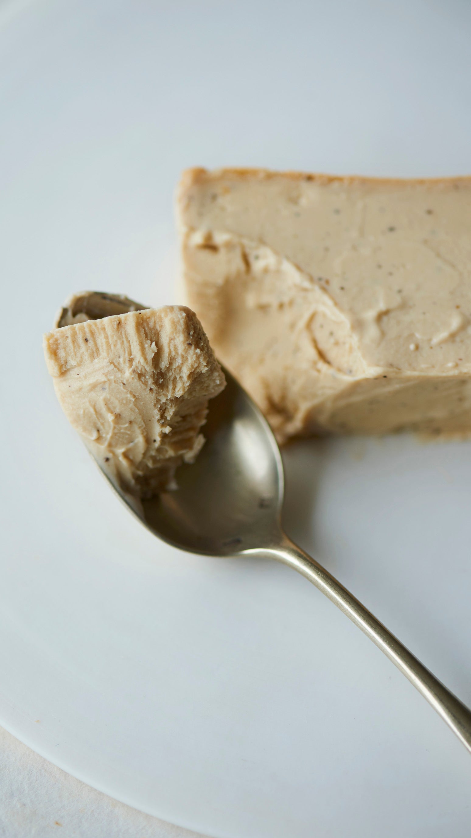 Mr. CHEESECAKE Tohobijin