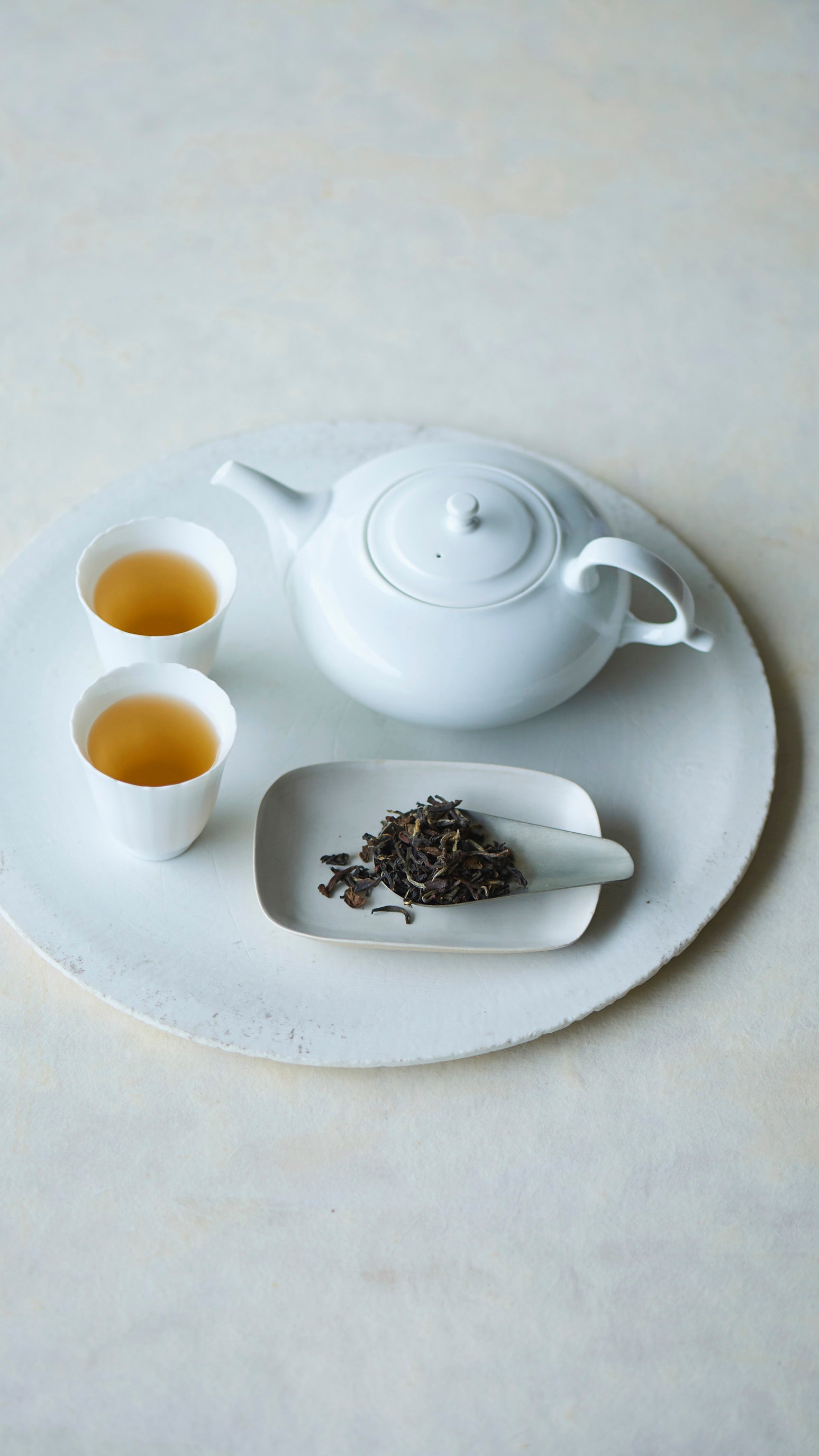 Mr. CHEESECAKE Tohobijin