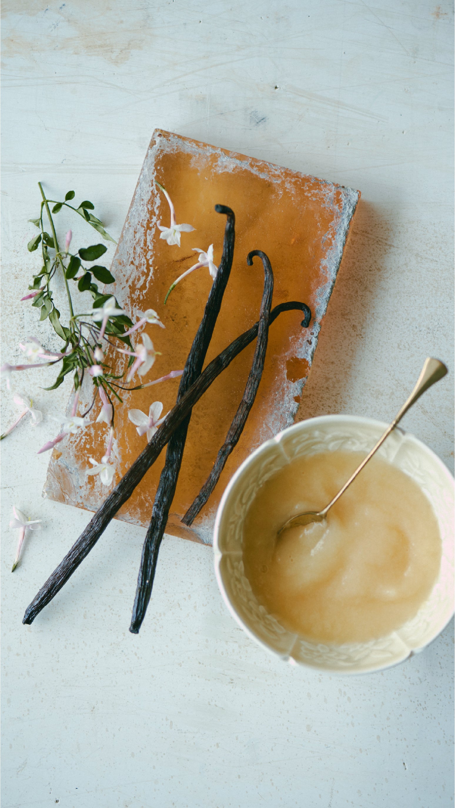 Mr. CHEESECAKE Royal Jasmine